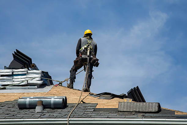 Professional Roofing technician working in New Auburn, MN